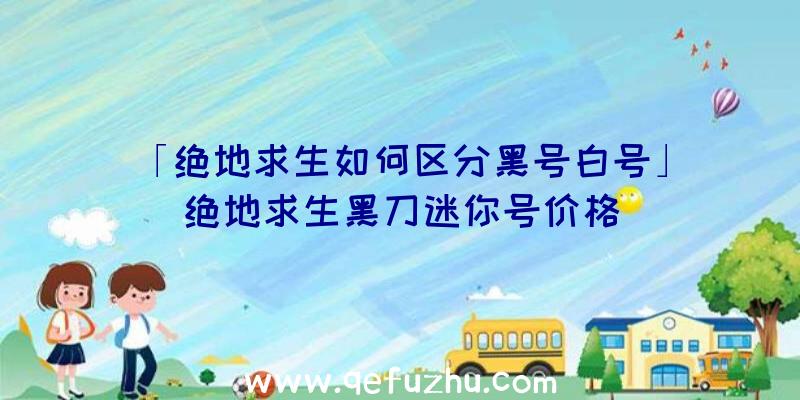 「绝地求生如何区分黑号白号」|绝地求生黑刀迷你号价格